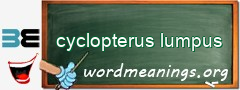 WordMeaning blackboard for cyclopterus lumpus